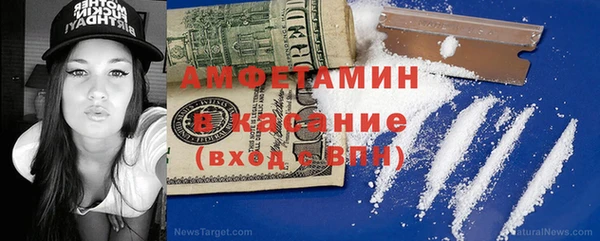 шишки Аркадак