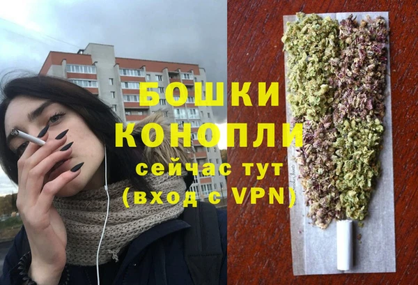 шишки Аркадак