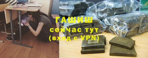 шишки Аркадак