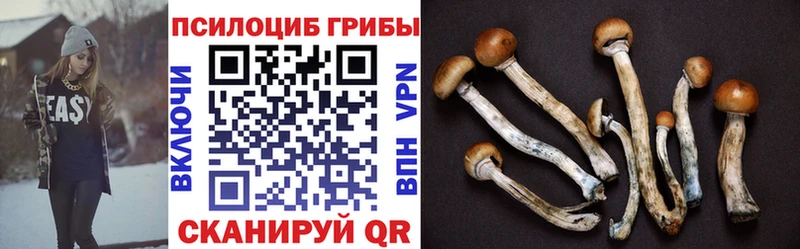 Галлюциногенные грибы MAGIC MUSHROOMS  Купить  Воскресенск 
